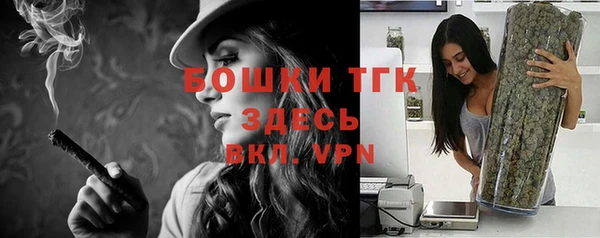 индика Аркадак