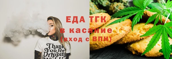 индика Аркадак