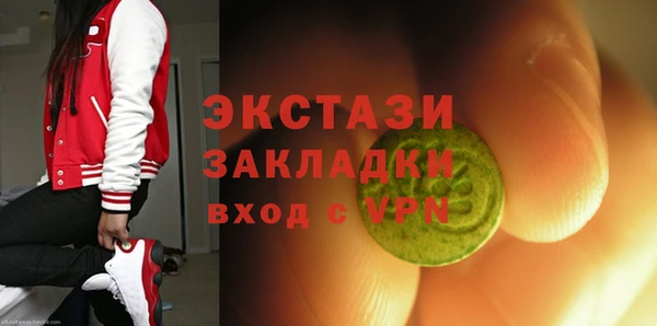 индика Аркадак