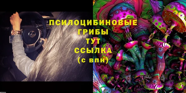 стафф Армянск