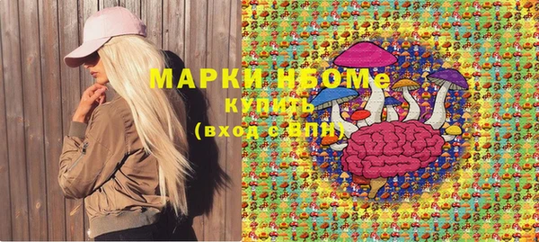 индика Аркадак