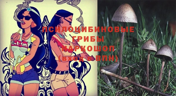 ГАЛЛЮЦИНОГЕННЫЕ ГРИБЫ Баксан