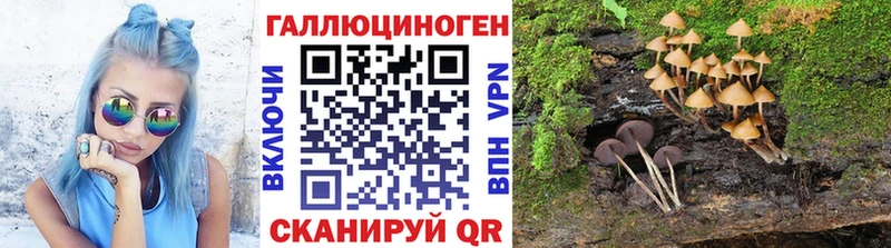Галлюциногенные грибы Cubensis  МЕГА зеркало  Радужный 